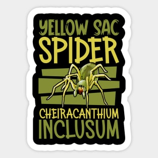 Yellow Sac Spider Sticker